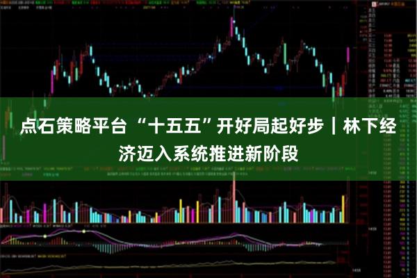 点石策略平台 “十五五”开好局起好步｜林下经济迈入系统推进新阶段